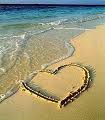 hart