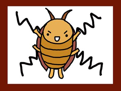 Cucaracha