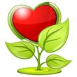 Cuore 13