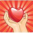 Cuore 7