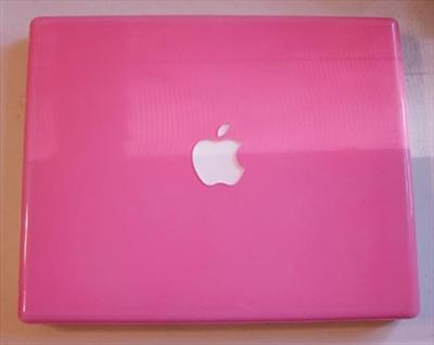 Pink Ibook x