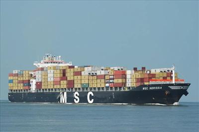 MSC Nerissa