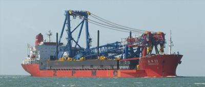 Zhen Hua 22 