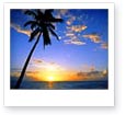 The Caribbean