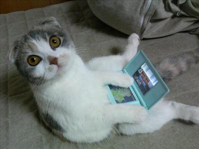 Just playing with me pussy...