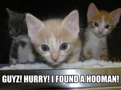 Searching out new life.... I iz exploring