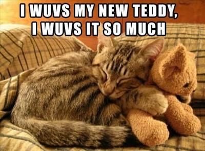 I cuggly my teddy