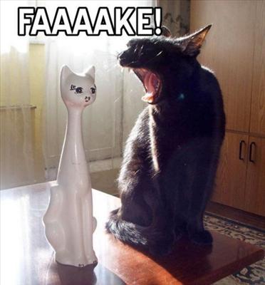 FAKE!!!!!!