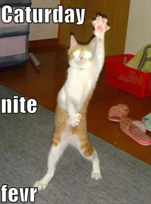 I luv the nightlife- I like to boogie.....