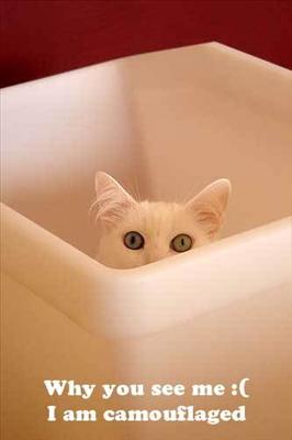 Peek-a-boo!!