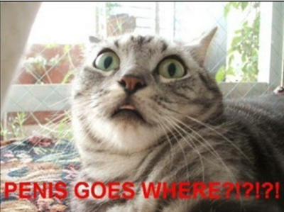 That goes where?????