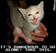 Danger Danger- High Voltage....