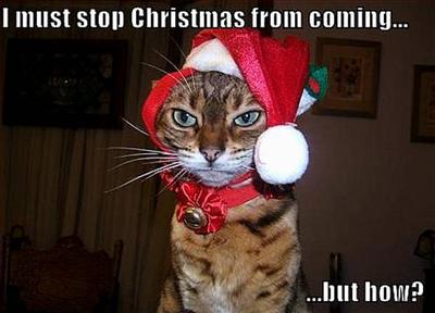 Humbug!!!