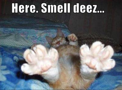 smell my feet....