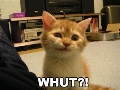 Whut???