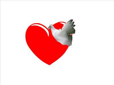 coeur colombe