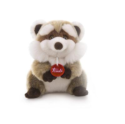 Raccoon