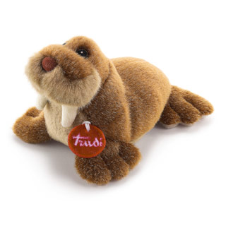 Walrus