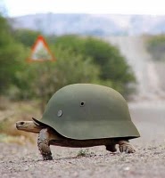 turtle army