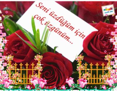 Özür Dilerim