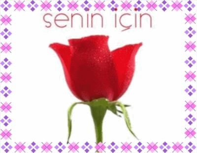 Senin İçin