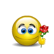 Red Rose