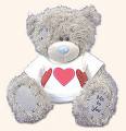 a teddy bear