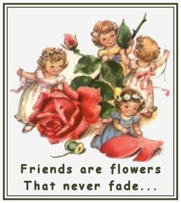 Friends Are Flowers.That Never Fade.