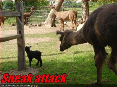 Sneak Attack