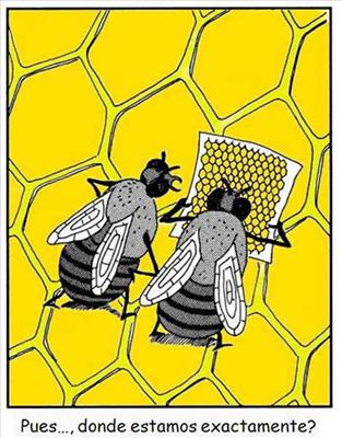 abeja