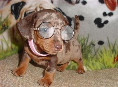 Intelligent 