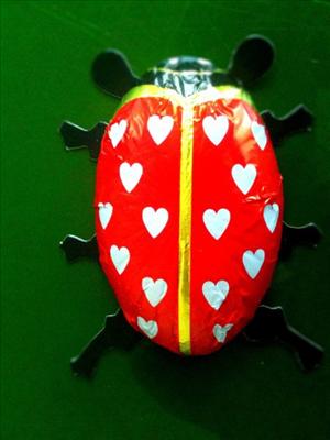 Choco Lady Bug