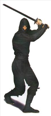 Ninja