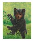 Bear Cub
