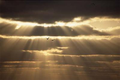 even the darkest day can be beautiful!