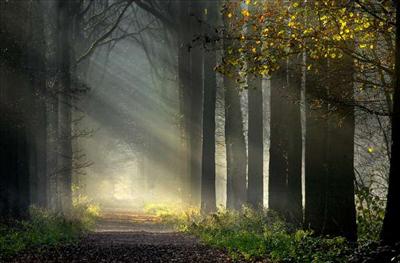 peace be still