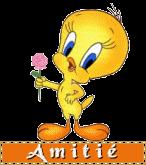 amitie ts court