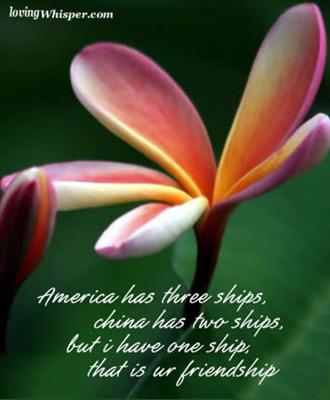 Star Fruit