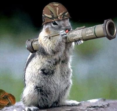 Bazooka Squirrel