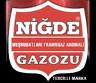 Gazoz