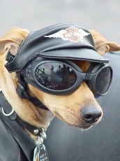 Biker!!