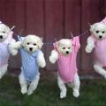  We are clean and dry!