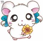 bijuo