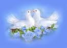 Love birds