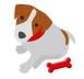 Köpek