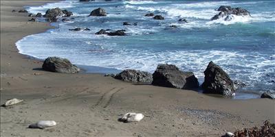 Seal Beach