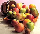 Fruits