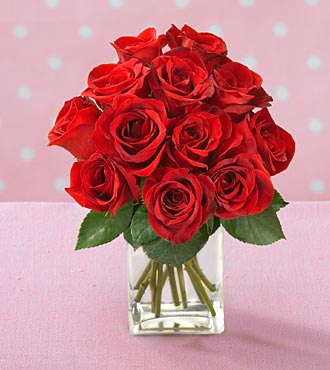 a  bunch of red roses