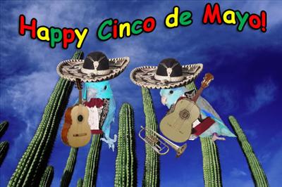 Cinco de Mayo Greeting