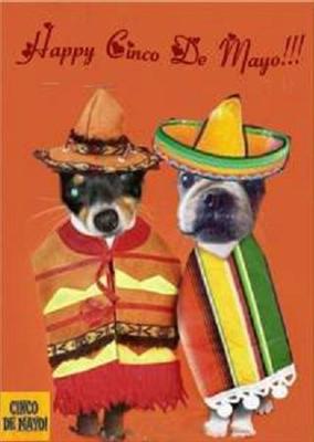 Cinco de Mayo Greeting